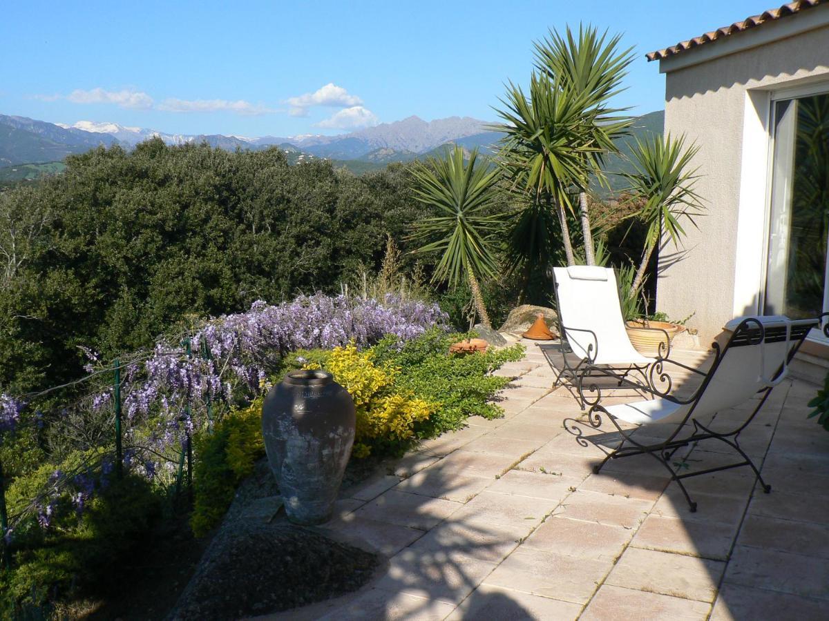 Chambre d'hote Casa Tozza Porticcio  Exterior foto
